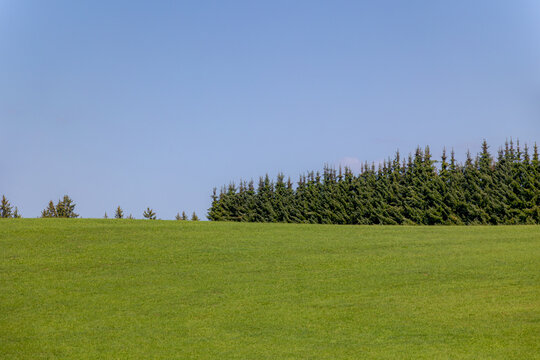 Rural Bavarian countryside landscape, Slope hills with green grass meadow under blue sky, white cloud and pine forest, A pine is any conifer in the genus Pinus of the family Pinaceae, Bavaria, Germany