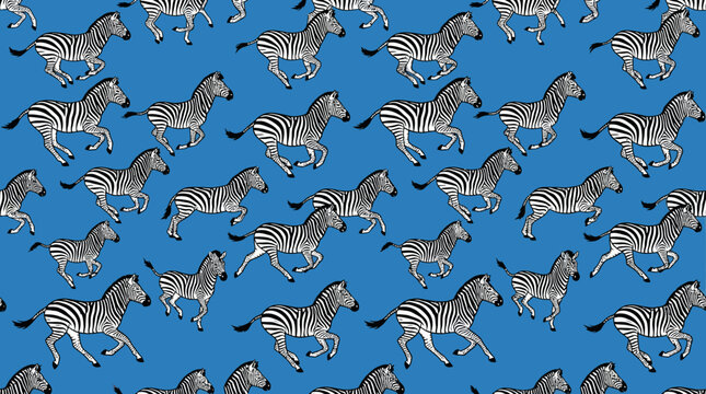 Playful Zebra Herd Pattern Dynamic Running Equine Collection Illustration