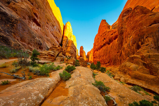 Fiery Furnace canyon labyrinth winds through red sandstone Utah