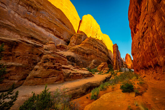 Fiery Furnace sandstone fins glow under morning sunrise light