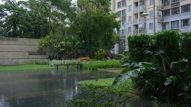 Residential community garden in rainy and windy day with wet pavement and lush tropical plants video with sound