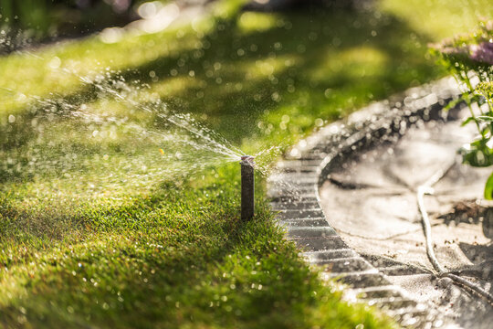 Lawn sprinkler spraying water beside garden edging