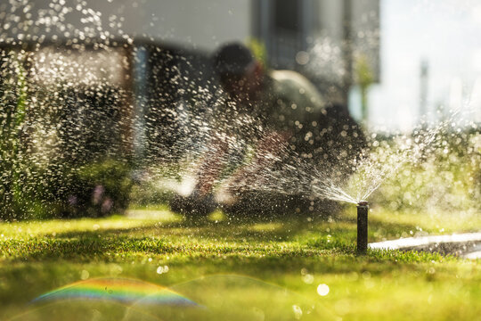 Sprinkler watering lawn with gardener in the background