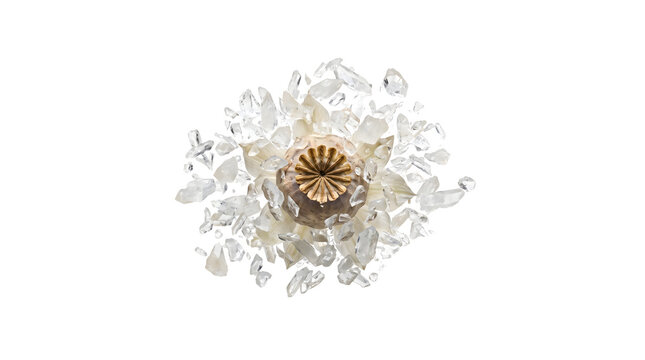 Shattered glass fragments exploding from a golden poppy seed head on a black background