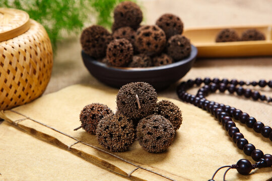 Dried Liquidambar Fruits on Ancient Chinese Paper Scroll