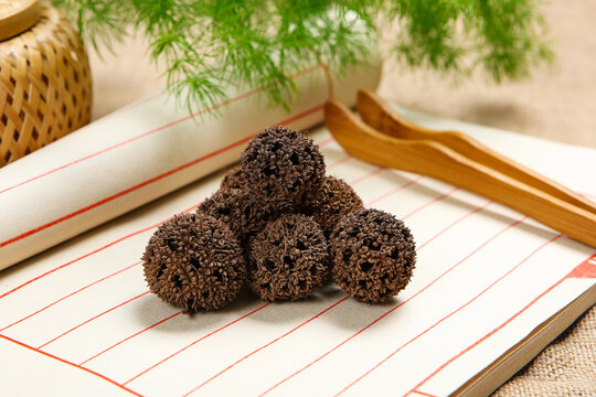 Dried Liquidambar Fruits on Ancient Chinese Paper Scroll