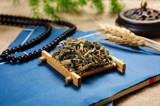 Dried Elsholtzia Herb on Bamboo Mat Chinese Herbal Shot