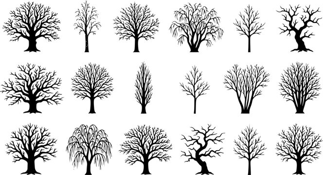 various deciduous trees silhouettes on the white background. vector set. PNG white background
