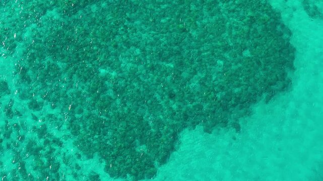 Drone view over vivid turquoise ocean shallows off Big Island Hawaii revealing dark coral reef patches sunlight sparkling on rippling water and clear tropical sea in bright daylight.