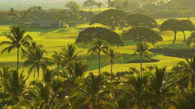 Warm golden sunrise light glows over lush palm trees and a green golf course on the Big Island of Hawaii with drone view of monkeypod trees rolling fairways and tropical island landscape.