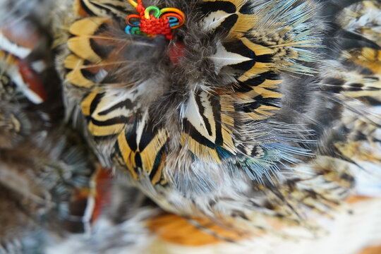 Macro close-up of feathers, very beautiful.