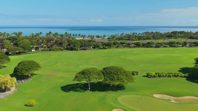 Aerial drone view of green golf fairways on Big Island Hawaii with luxury oceanfront homes palm trees and turquoise Pacific water under blue sky. Tropical resort golf course from above.