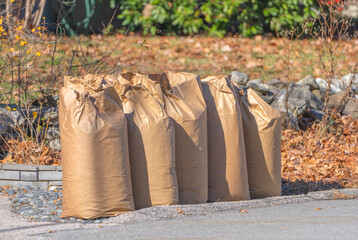 Obraz premium fallen leaves collected in recycle paper bag in autumn for curbside recycling