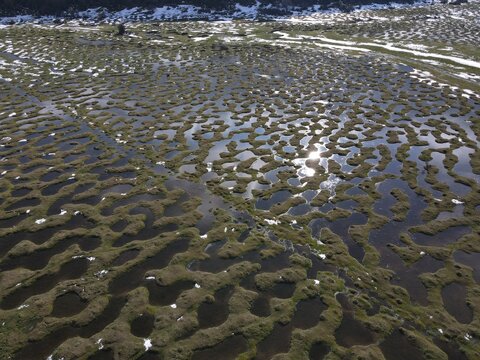 Sun reflection on wetland pools during early spring thawing at Karagol Plateau in Sakarya, Turkey.