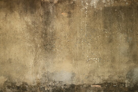 A distressed and textured background resembling aged plaster or concrete with organic, earthy tones and subtle imperfections, creating a vintage and rustic aesthetic