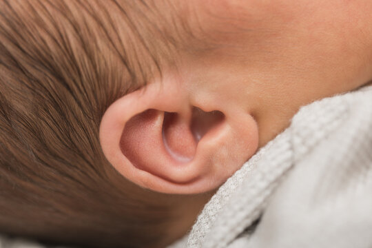 Closeup of a baby's ear and soft hair 