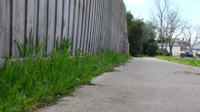 Overgrown weeds and grass sprouting along the edge of a concrete footpath running beside an aged timber paling fence at a residential street in suburban Australia