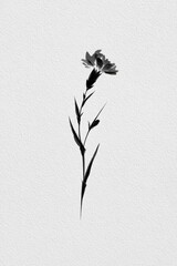 Obraz premium Minimal black flower silhouette on textured white paper, elegant abstract botanical art