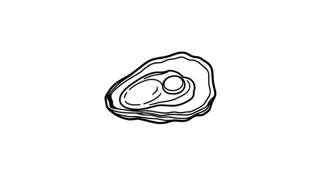 Oyster Shell Illustration.