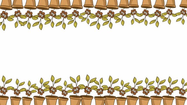 potted plants and leaves framing a white background