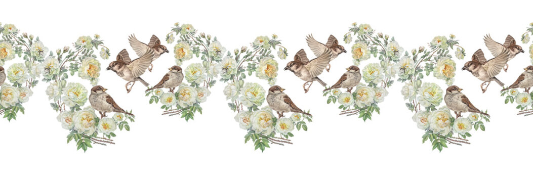 Watercolor seamless border with bird sparrow and flower dog rose on white background. Hand-drawn summer branch with green leaves and wild rose hip. Botanical rim for tea wallpaper and wrapping