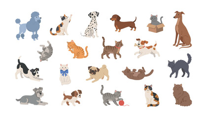 Obraz premium Cute cartoon cats and dogs vector illustration set with playful domestic pets isolated on a white background