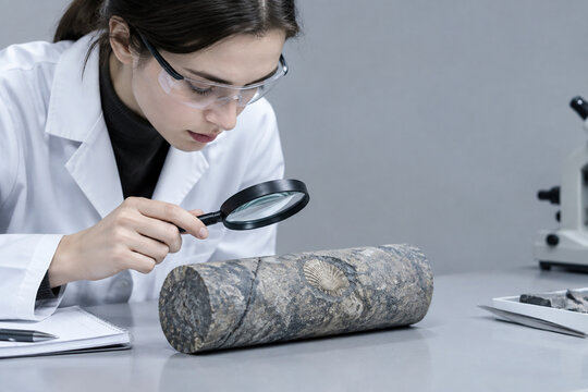 Rock drill core with fossil on lab table, geologist examining, geology research concept