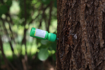 Obraz premium A tree trunk injection bottle providing plant supplements.