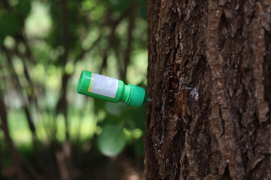 A tree trunk injection bottle providing plant supplements.