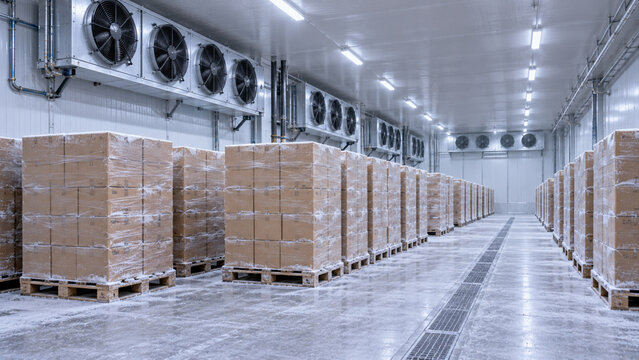 Industrial Pallet Blast Freezer