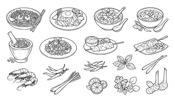 Thai Food Line Art Vector Set with Noodles Curry Soup Shrimp and Herbs