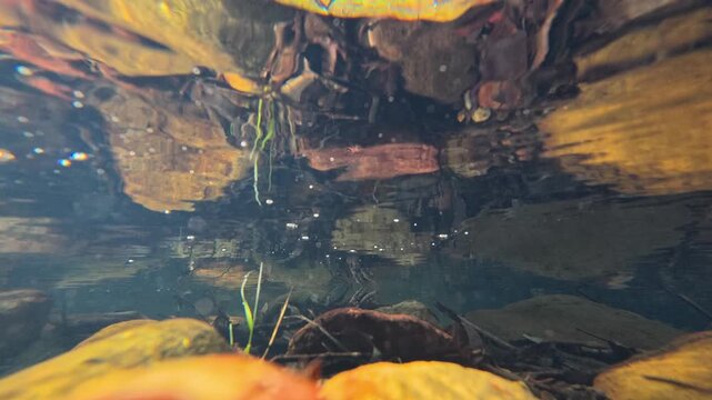 Underwater View of Creek Bed Rocks and Rippling Water Surface