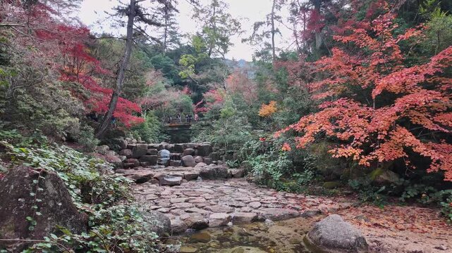 Autumn foliage scenery along a mountain path