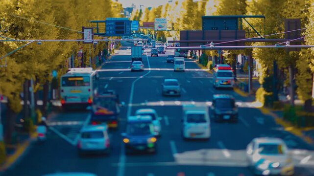 A timelapse of miniature traffic jam at the yellow gingko street in Tokyo panning