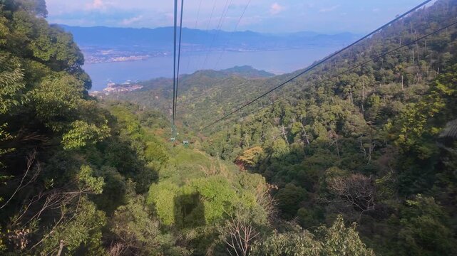 Forest scenery as seen from the ropeway