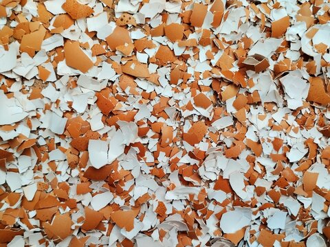 Full frame close up view of crushed brown and white eggshells texture