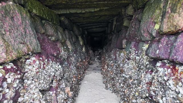 Dark cave by the water