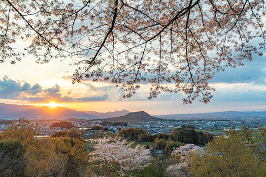 夕日と畝傍山を甘樫丘から俯瞰