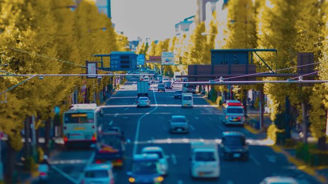 A timelapse of miniature traffic jam at the yellow gingko street in Tokyo panning