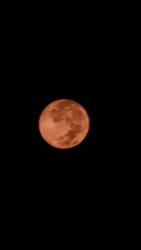 moon in the night sky