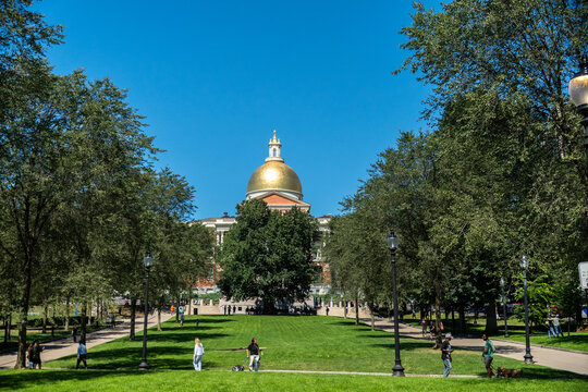 Boston Massachusetts State House dome framed by trees under clear blue sky
