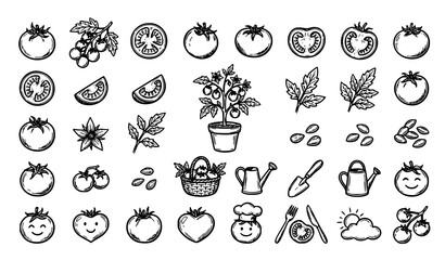 Obraz premium Hand Drawn Tomato Outline Doodle Vector Icons Collection
