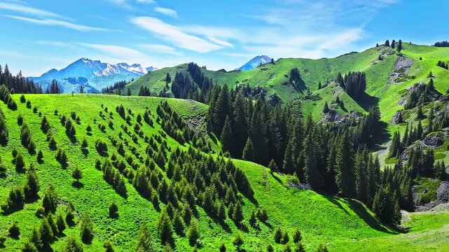 Aerial view of rolling green hills and mountain ridges under a clear blue sky in Xinjiang, China