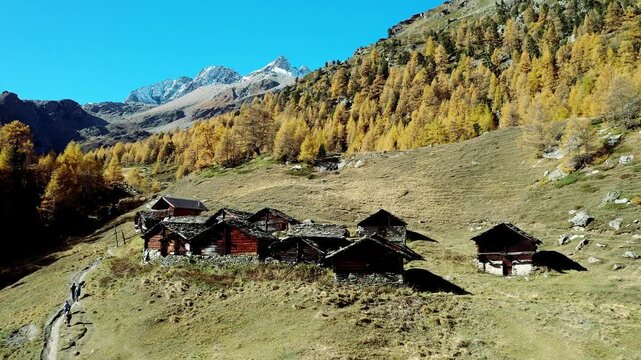 The hamlet of Le Louch&eacute; at the foot of a larch forest in bright autumn colours, Val d'Herens, Eringertal, Valais, Switzerland