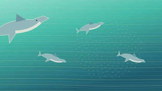 Dauphins tournant autour d&rsquo;un banc compact de sardines sous l&rsquo;eau