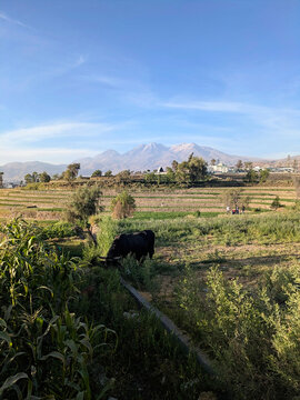 Paucarpata Countryside in Arequipa, Peru