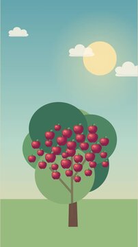 Pommes rouges m&ucirc;res sur un pommier ondulant sous un ciel bleu