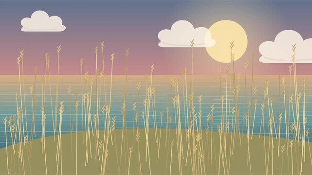 Herbes c&ocirc;ti&egrave;res balay&eacute;es par le vent au-dessus d&rsquo;une falaise au coucher du soleil