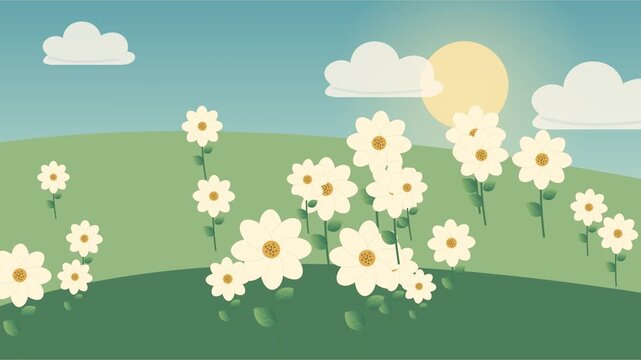 Marguerites blanches et jaunes ondulant dans un jardin printanier