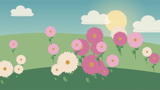 Fleurs de cosmos roses et blanches ondulant dans une prairie estivale